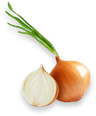 Onion